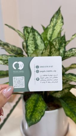 تصویر گالری پگاه حبیبی هاچه سو 2