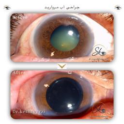 تصویر گالری سیامک کشاورزی 3