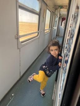 تصویر گالری محسن سیف الهی 1