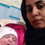 تصویر گالری حمیده محمدزاده 3