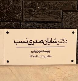 تصویر گالری شایان صدری نسب 16