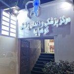 تصویر گالری سیده پرنیان موسوی فرد 1