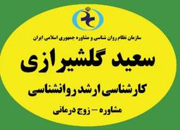 تصویر گالری سعید گلشیرازی 4