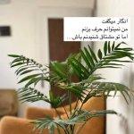 تصویر گالری پزشک 1
