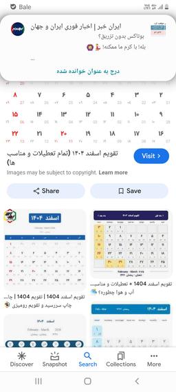 تصویر گالری محسن سیف الهی 3