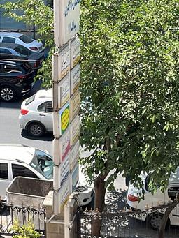 تصویر گالری سید رامین علوی نژاد 1
