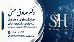 تصویر گالری صادق حسنی 1