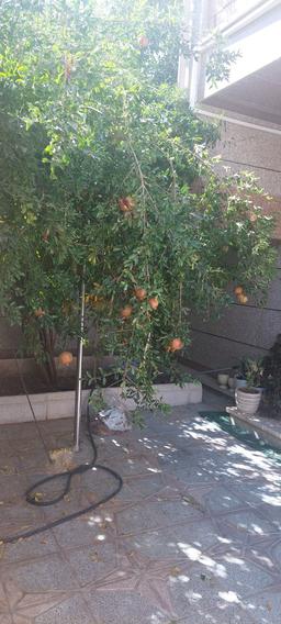 تصویر گالری حسین کرمی 1