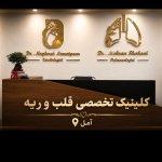 تصویر گالری نغمه نعمت پور 2