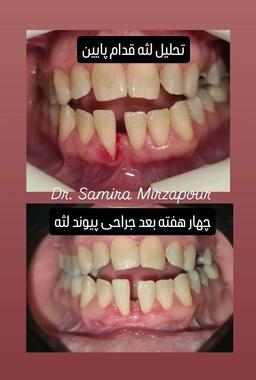 تصویر گالری سمیرا محمدمیرزاپور 6