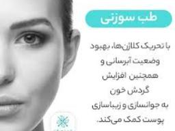 تصویر گالری پدرام غفاری نوران 10