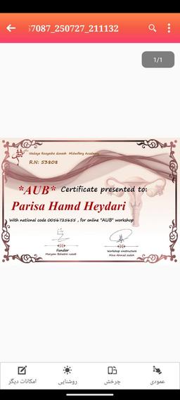 تصویر گالری پریسا حمدحیدری 6