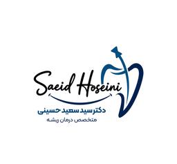 تصویر گالری سیدسعید حسینی 1