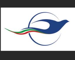 تصویر گالری مجتبی گلزاری 2