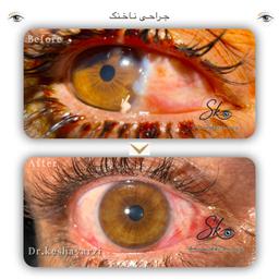 تصویر گالری سیامک کشاورزی 9