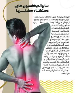 تصویر گالری صالحی سیچانی 5