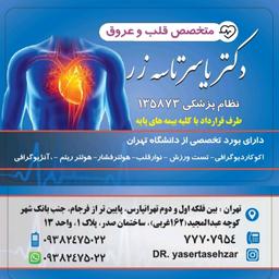 تصویر گالری یاسر تاسه زر 1