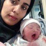 تصویر گالری حمیده محمدزاده 1