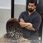 تصویر گالری سپهر ممبنی 2