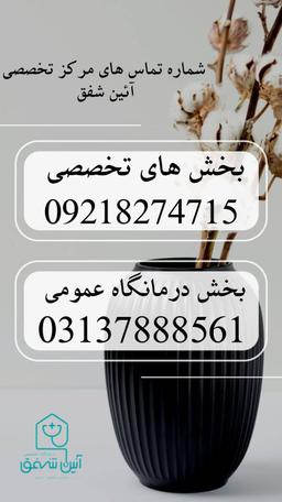 تصویر گالری مریم ناطقی 1