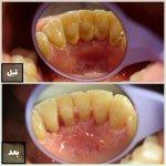 تصویر گالری سمانه فلاح 10