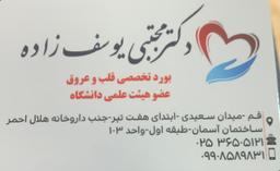 تصویر گالری مجتبی یوسف زاده رهقی 2