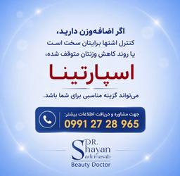 تصویر گالری شایان صدری نسب 13
