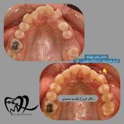 تصویر گالری فروغ مقسم حمیدی 1