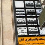 تصویر گالری نغمه نعمت پور 3