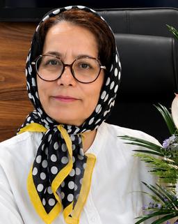 تصویر گالری افخم احمدی بنابی 1