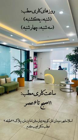 تصویر گالری سعیده نجیب مقدم 1