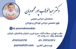 تصویر گالری عبدالوهاب پور محمودیان 1