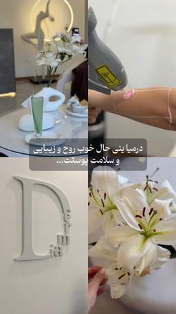تصویر گالری فاطمه عرب صاحبی 2
