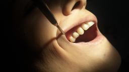 تصویر گالری میترا شمالی 3
