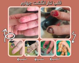 تصویر گالری شیما فردمنوچهری 2
