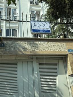 تصویر گالری سیده پویا مروتی 4