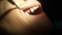 تصویر گالری میترا شمالی 2