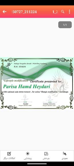تصویر گالری پریسا حمدحیدری 4