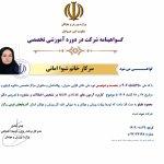 تصویر گالری شیوا امانی 2