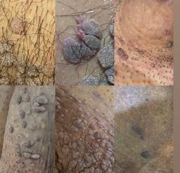 تصویر گالری مریم وانانی 2