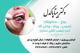 تصویر گالری بیتا پاکدل 1
