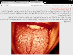 تصویر گالری سیدراضی حشمتی 5
