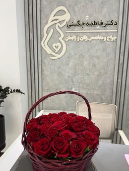 تصویر گالری فاطمه چگینی 1