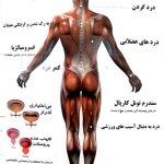 تصویر گالری محمد مهدی رحیم زاده 4