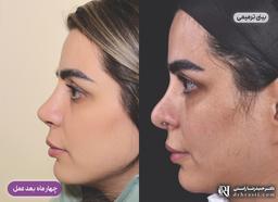 تصویر گالری دکتر حمیدرضا راستی 13