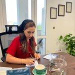 تصویر گالری ناردین ابراهیم زاده 1