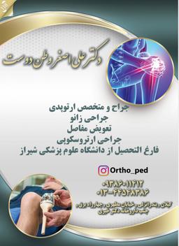 تصویر گالری علی اصغر وطن دوست 2