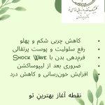 تصویر گالری مریم اژدری 8