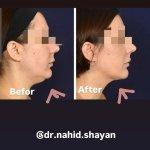 تصویر گالری ناهید شایان 3