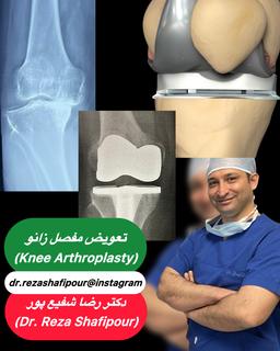 تصویر گالری رضا شفیع پور 5